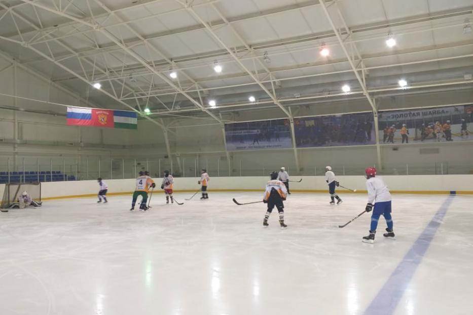 Хоккеисты Калининского района принимают участие в городском этапе турнира «Золотая шайба»