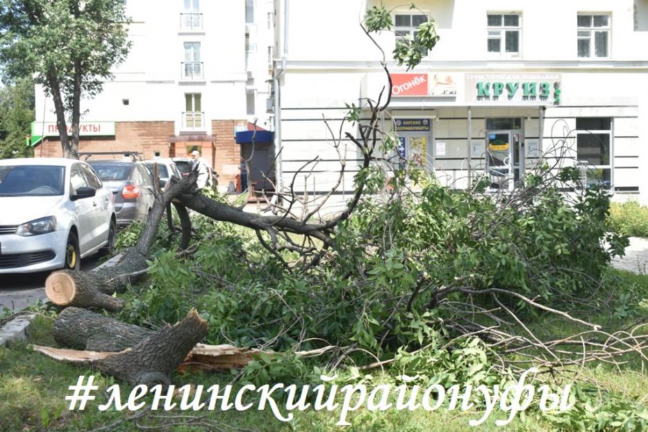 В Ленинском районе Уфы зафиксирован случай падения дерева 