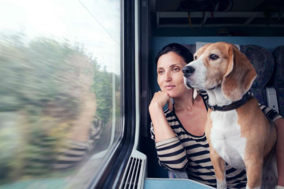 Башкортостанская пригородная пассажирская компания разрешила перевозить домашних животных в своих поездах бесплатно