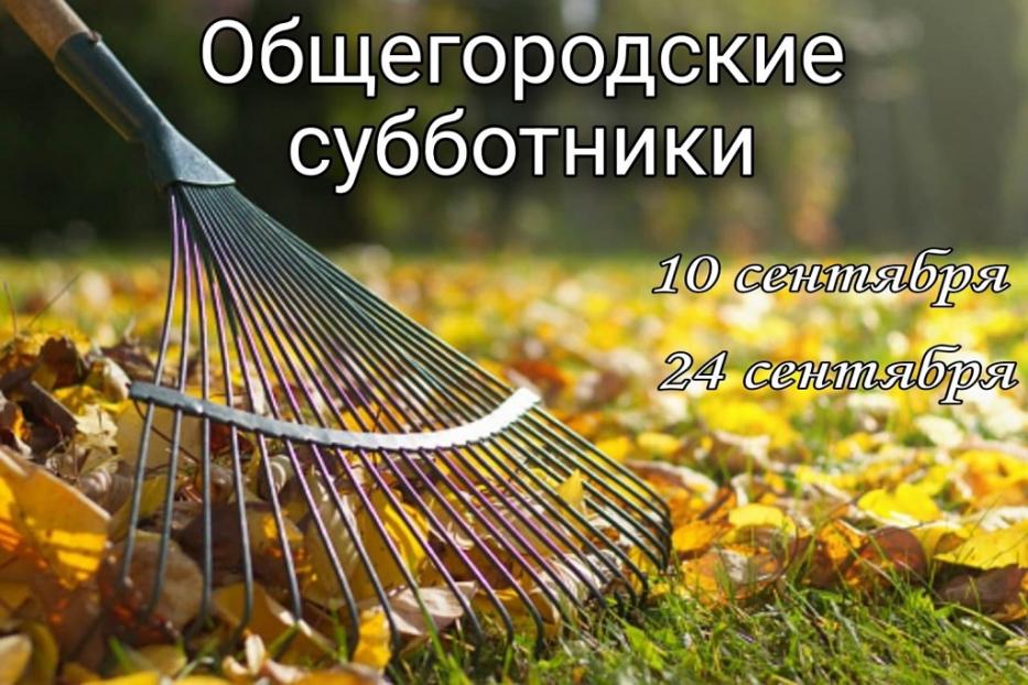 В Ленинском районе пройдет осенний месячник по санитарной очистке, благоустройству и озеленению территории