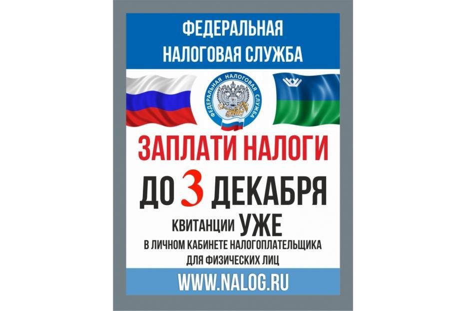 3 декабря – последний день уплаты налогов физическими лицами