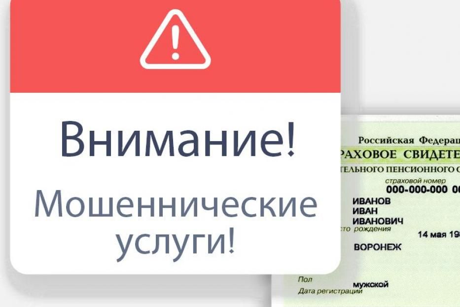 Пенсионный фонд предупреждает о мошеннических услугах по оформлению СНИЛСа 