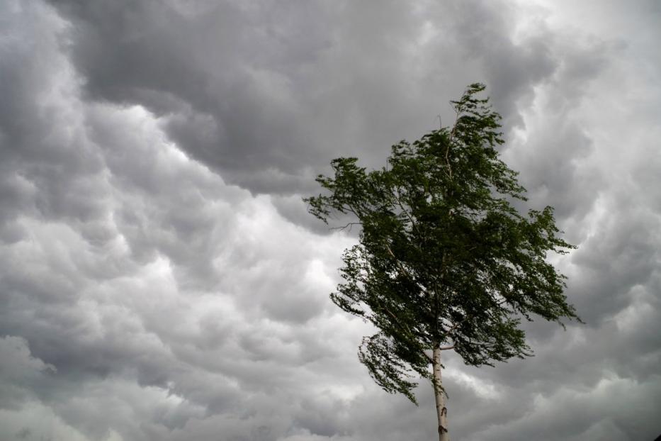 В Уфе прогнозируется усиление ветра до 18 м/с, дождь и гроза