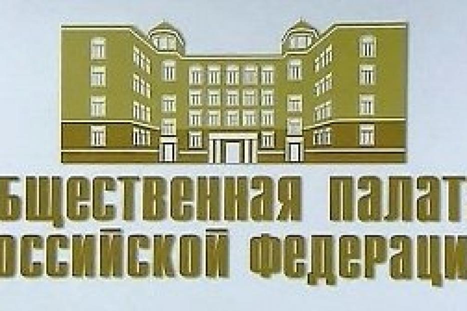 Специалисты Управления по опеке и попечительству представили опыт работы г. Уфы  в Общественной палате РФ