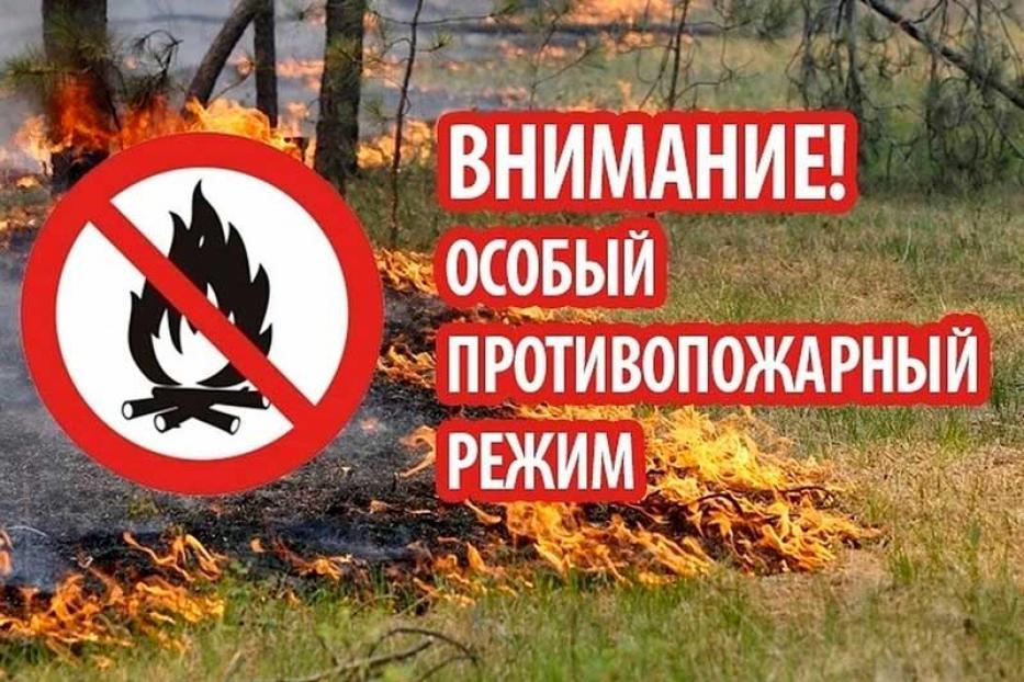 О введении особого противопожарного режима на территории Республики Башкортостан