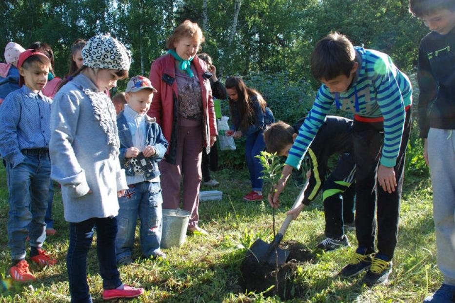 Дружбу укрепила посадка деревьев 