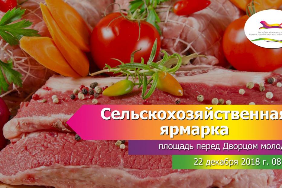 Запасаемся продуктами к новогоднему столу