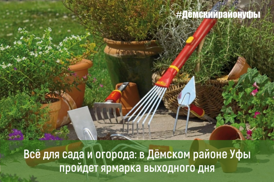 Всё для сада и огорода: в Дёмском районе Уфы пройдет ярмарка выходного дня