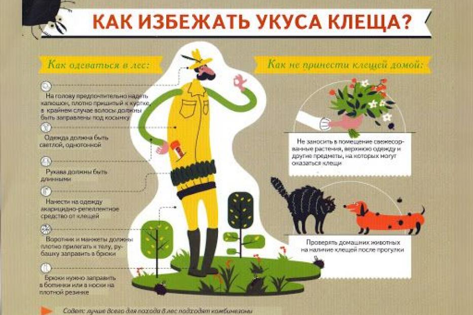 Как избежать укуса клеща?