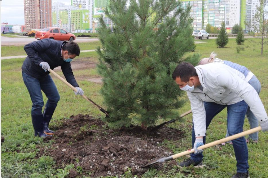 Уфимцев приглашают принять участие в экологической акции «Зелёная Башкирия – Зелёная Россия»