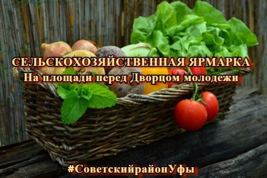 В советском районе пройдет сельскохозяйственная ярмарка