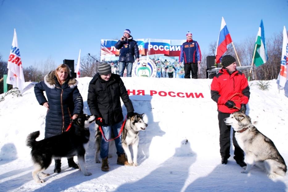 Во время «Лыжни России» жители Советского района увидят гонки собак