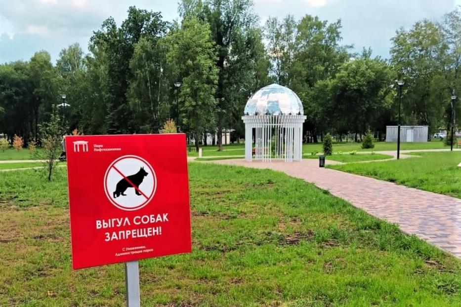 Можно ли гулять с собаками в парке «Нефтехимиков»?