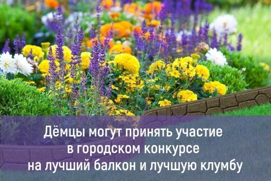 Дёмцы могут принять участие в городском конкурс на лучший балкон и лучшую клумбу