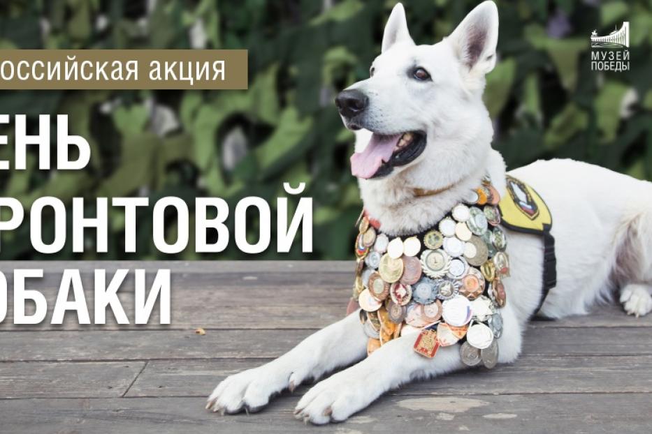 19 августа в России ежегодно отмечается «День фронтовой собаки»