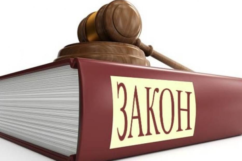 В Российской Федерации принят закон о детских омбудсменах