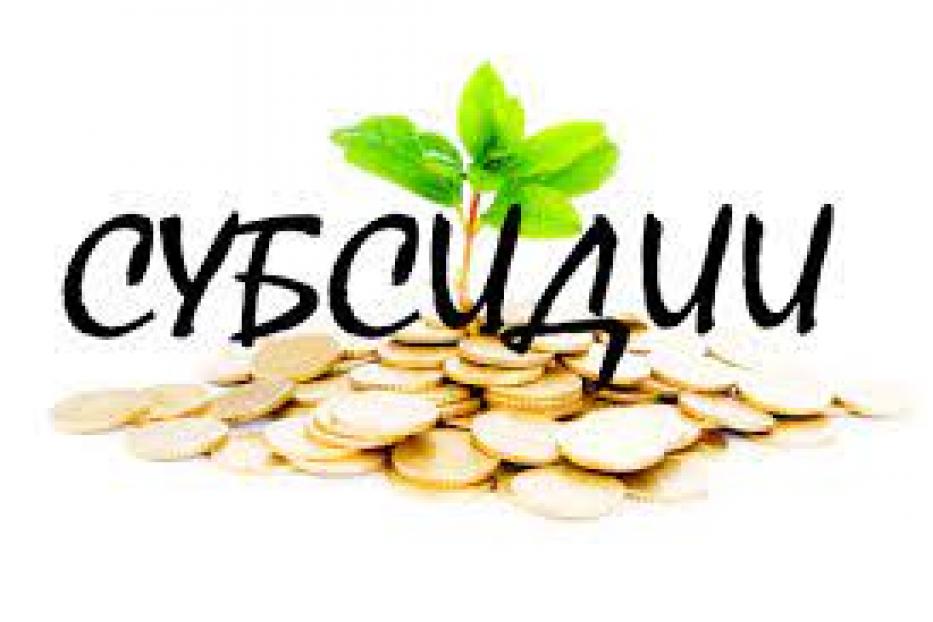 Субсидия из бюджета Республики Башкортостан юридическим лицам, индивидуальным предпринимателям и некоммерческим организациям на возмещение затрат, связанных с проведением для граждан старшего поколения познавательных программ, физкультурно-оздоровительных