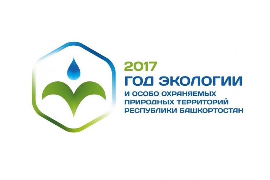 В Год экологии в Калининском районе пройдут субботники и экологические акции