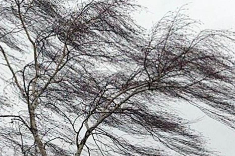 В Уфе ожидается усиление ветра, снег и метель
