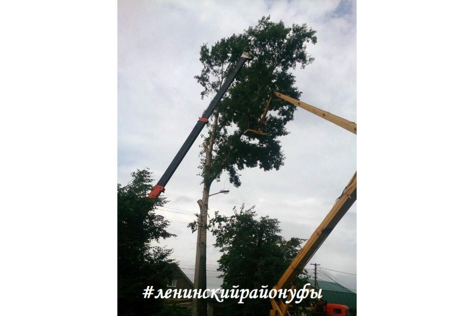 В Ленинском районе Уфы продолжается санитарная обрезка деревьев 