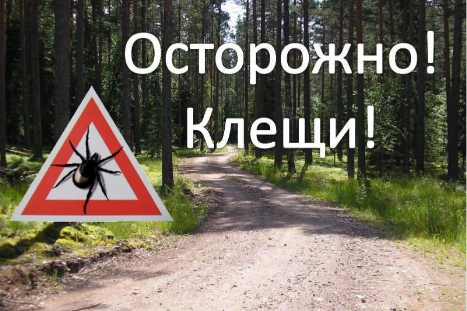 Осторожно,клещи!