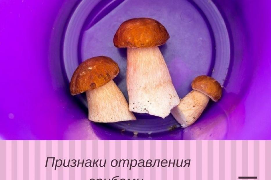 Признаки отравления грибами 