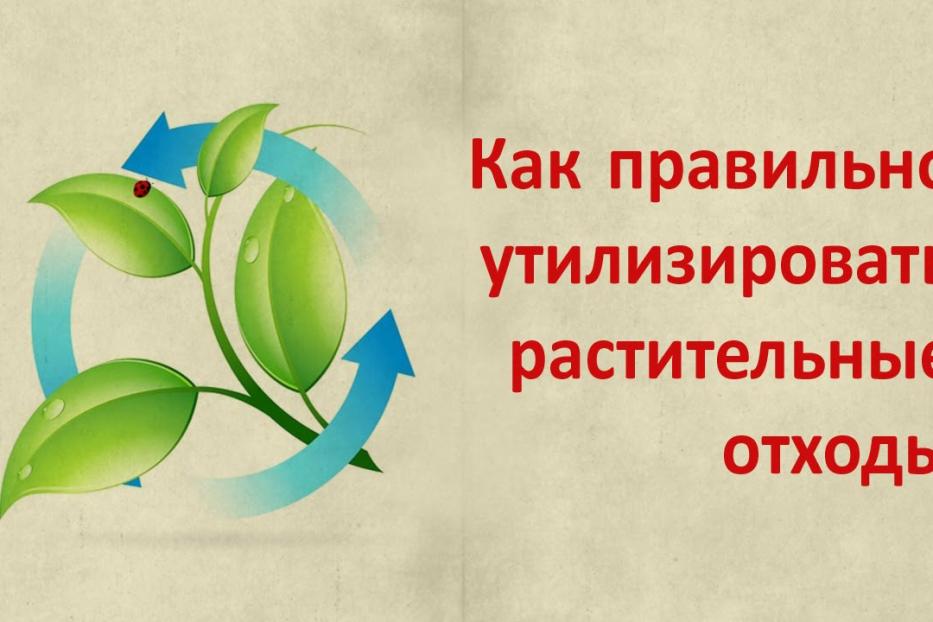 Растительные отходы нельзя складировать в неотведенных для этого местах