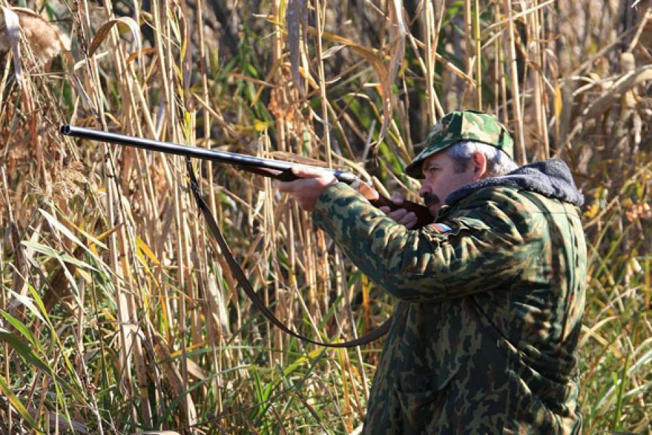 Утверждены лимиты добычи охотничьих ресурсов на предстоящий охотничий сезон