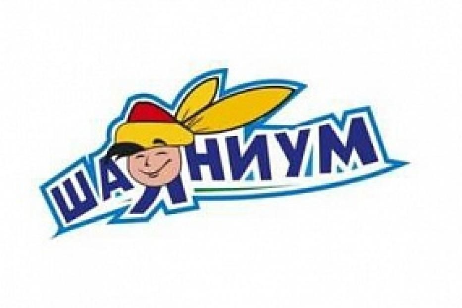 В Уфе состоится финал игр «Шаяниум - 2014»