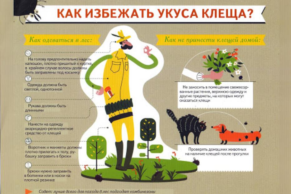 Как избежать укуса клеща?