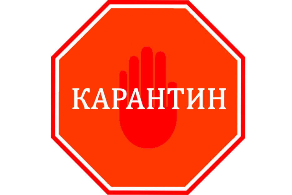Ситуация по карантину в Калининском районе – на контроле городских властей