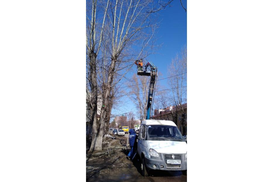 Санпятница: в Демском районе Уфы кронируют деревья