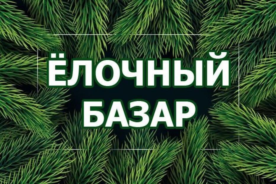 Елочные базары: где купить живую елку в Советском районе?