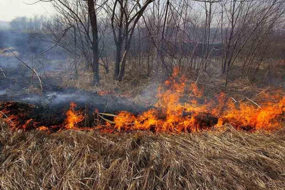 В Дёмском районе зарегистрирован рост пожаров сухой травы