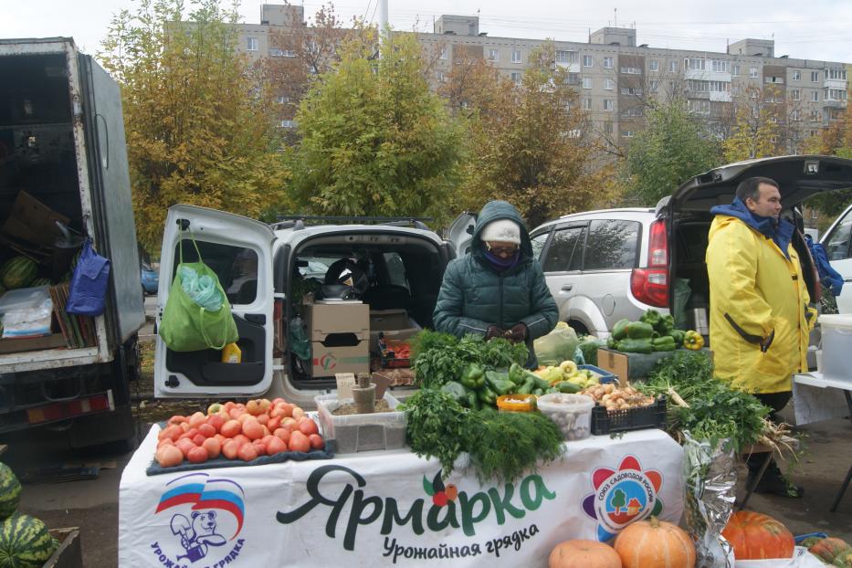 За свежими продуктами – на ярмарку