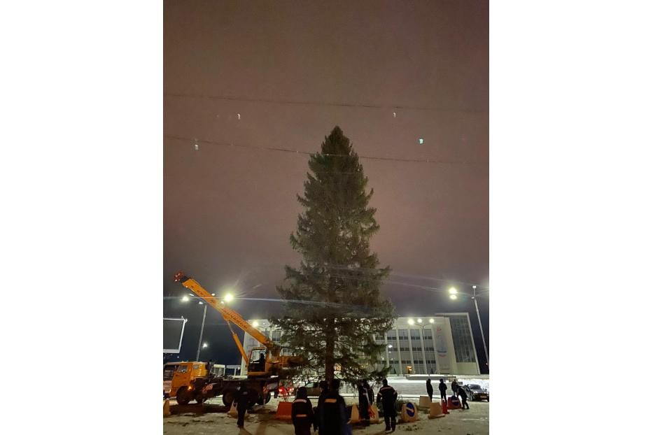 В Калининском районе установили центральную новогоднюю елку 