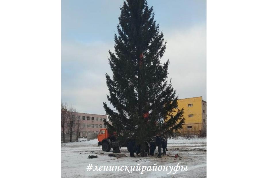 На стадионе «Нижегородец» появилась новогодняя ель