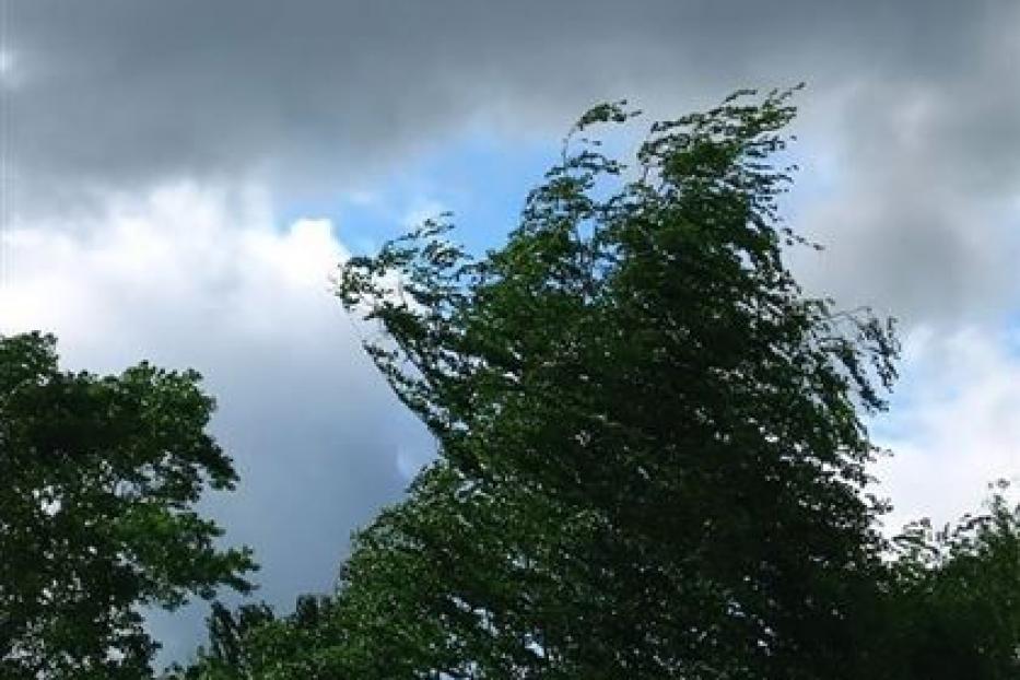 В Уфе прогнозируется усиление ветра до 20 м/с, дождь и гроза