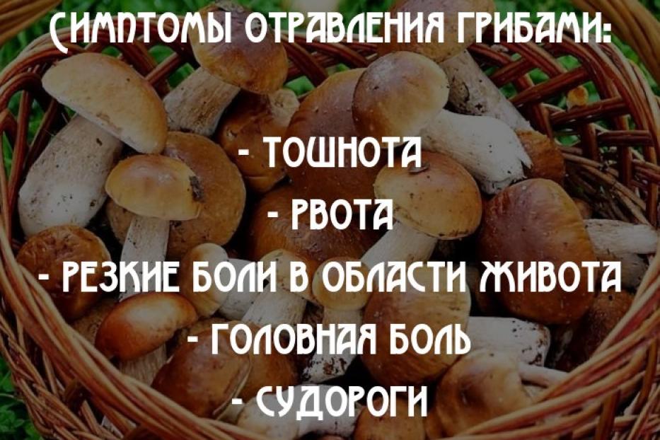 «Тихая охота» без последствий: меры предосторожности от «Службы спасения 112»