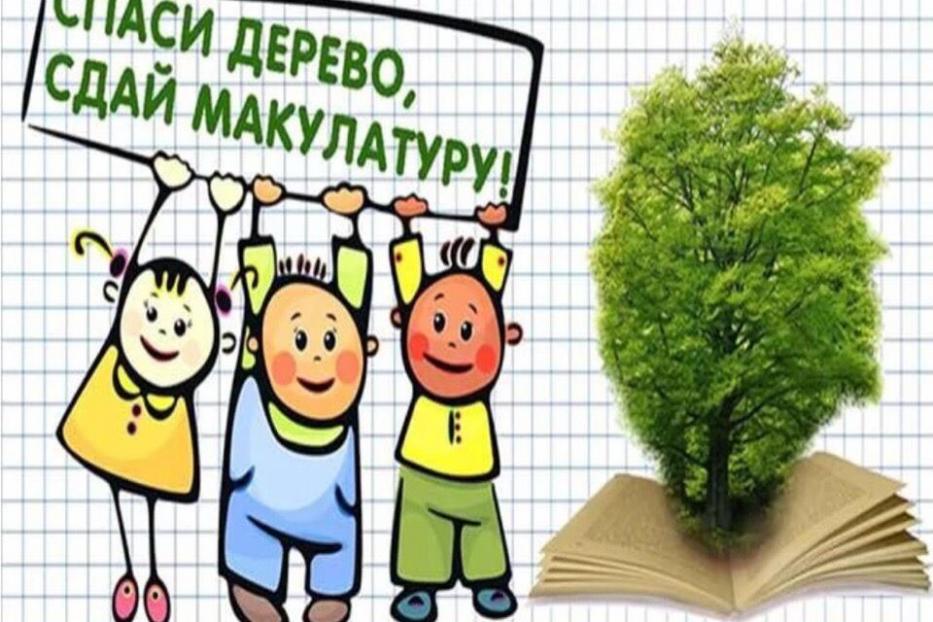 Воспитатели Советского района организовали благотворительный сбор макулатуры 