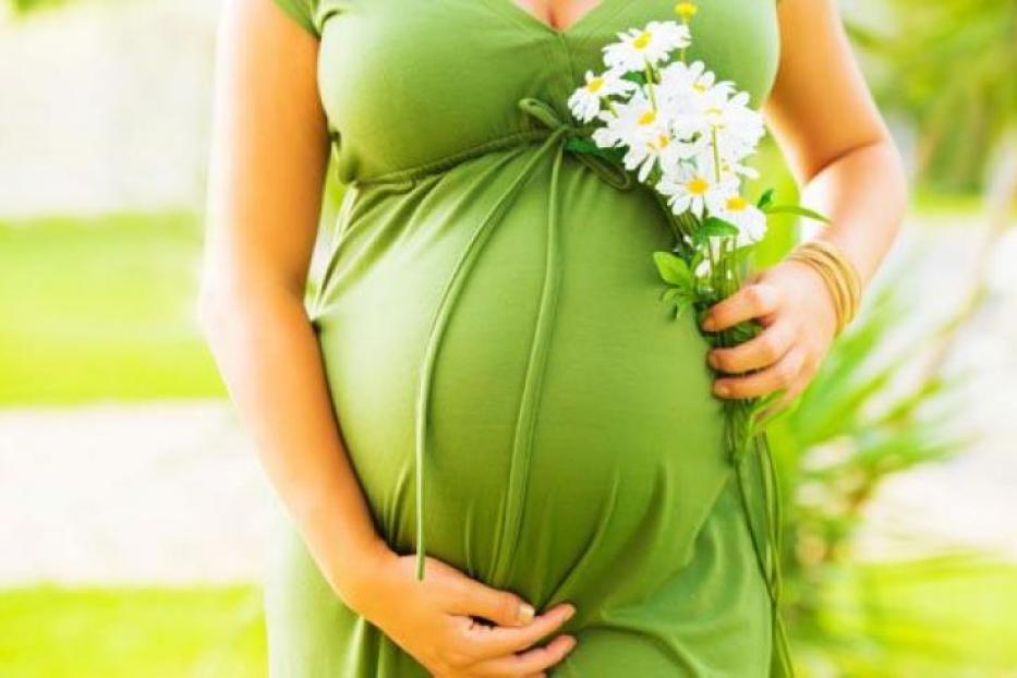 В демском роддоме еженедельно проходят бесплатные лекции для беременных