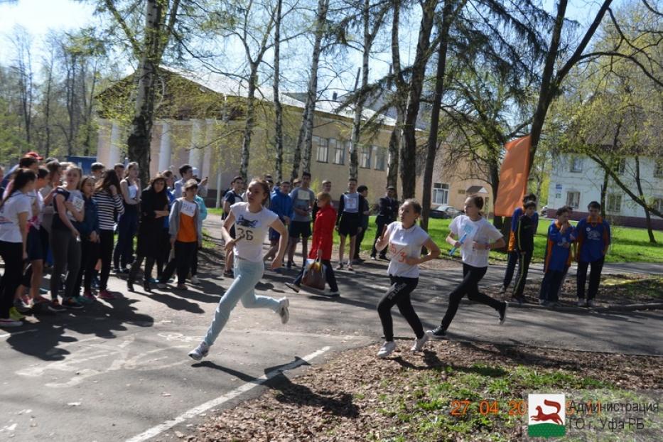 В весенне-летнем сезоне 2016 г. запланированы соревнования по мини-футболу, волейболу, баскетболу, гимнастике