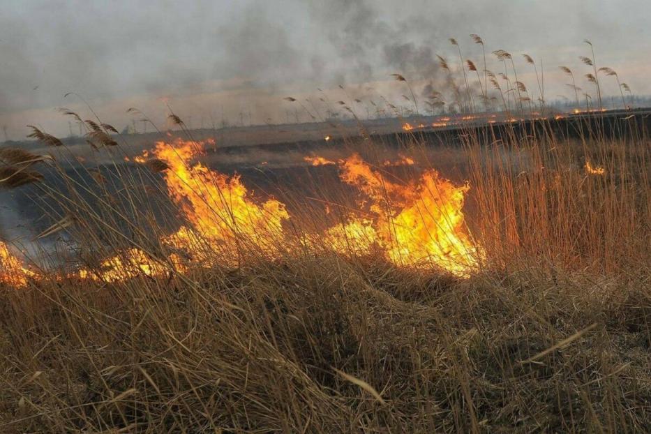 Пожарные локализовали горение сухой травы на окраине Уфы