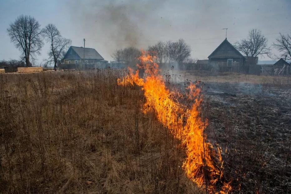 Внимание, пал сухой травы опасен