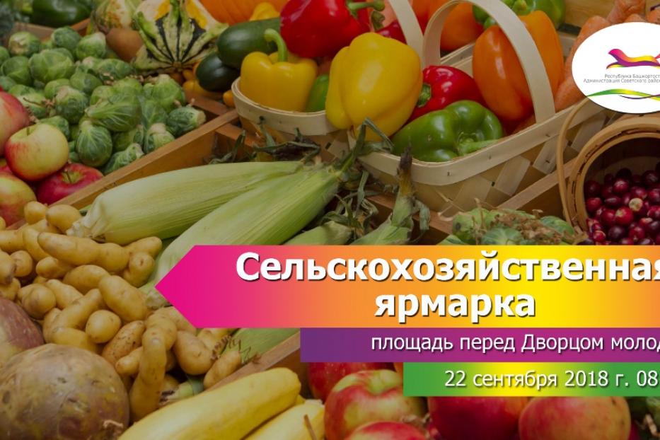 Успей купить витамины на зиму