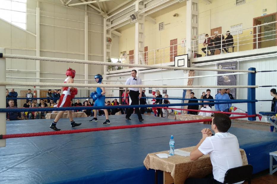 В Калининском районе подвели итоги турнира по боксу 