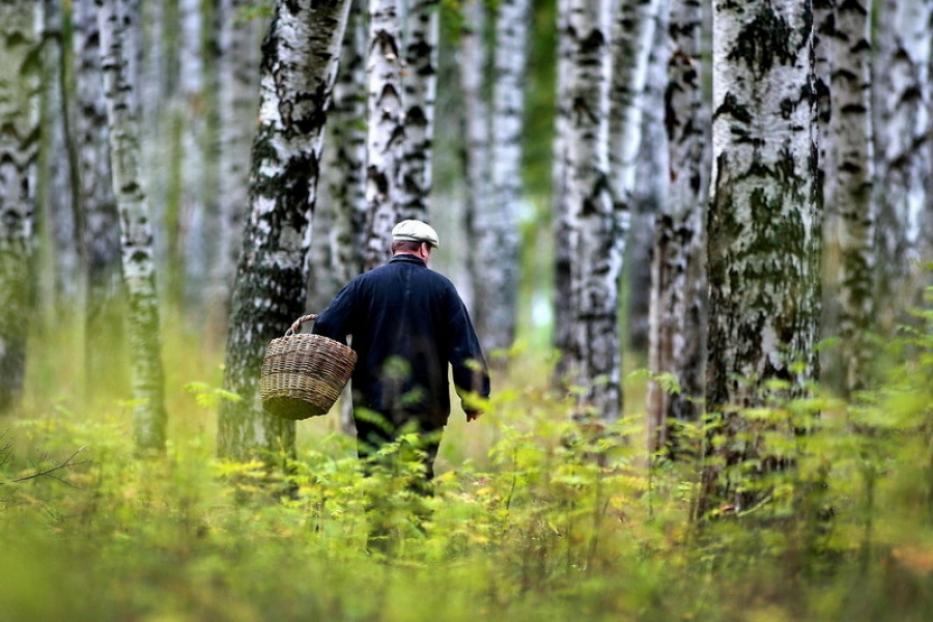 Начался сезон «Тихой охоты»