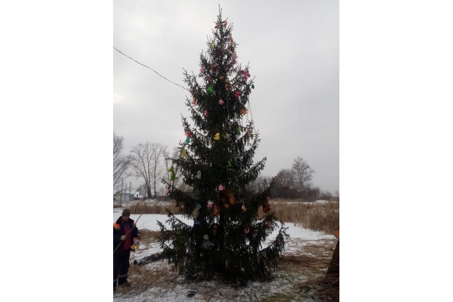 В Калининском районе устанавливают новогодние елки 