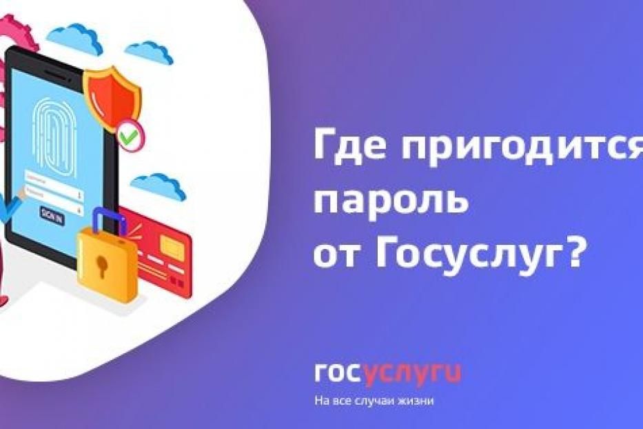 Где может пригодиться пароль от Госуслуг?