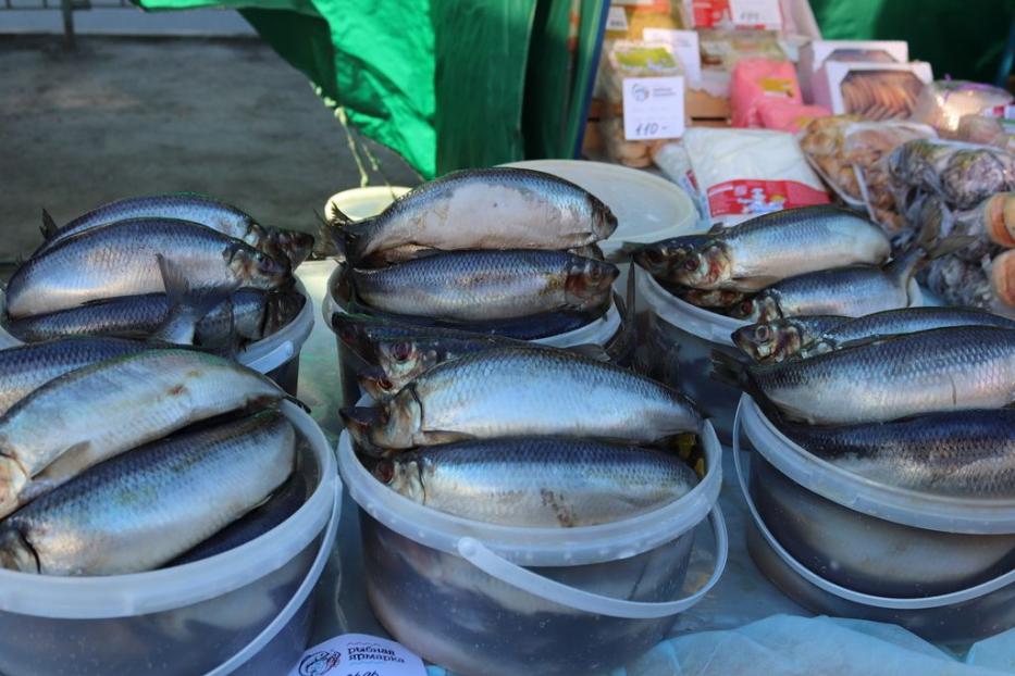 Уфимцев приглашают на городскую «Рыбную ярмарку»